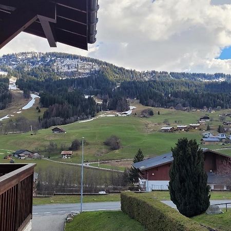 Appartement 1 Chambre Avec Garage Praz-sur-Arly Exterior foto